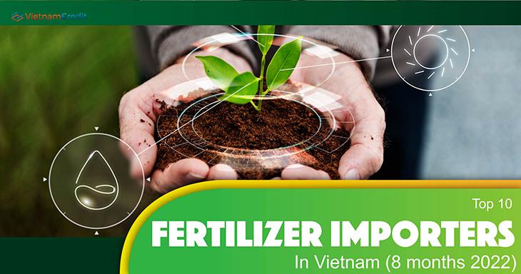 Top 10 fertilizer importers in Vietnam (8 months 2022)